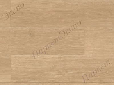 Ламинат 33 класс нагрузки, Parador Oak Studioline natural 1744813, срок службы - более 50 лет - 1