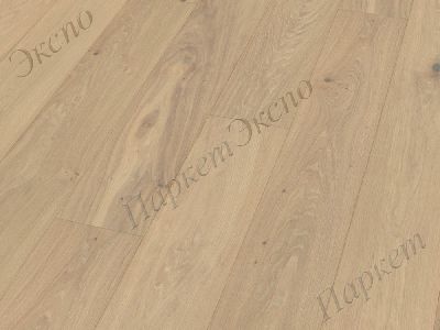Паркетная Доска Дуб Oak Muscat natural oil plus   арт.1739911 - 1