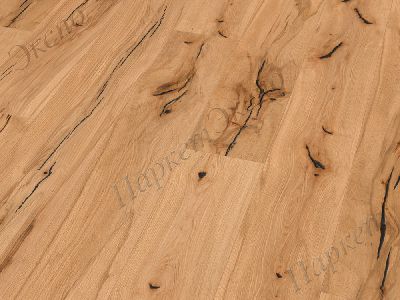 Паркетная Доска Бук Beech elephant skin 4V 1744431 - 1