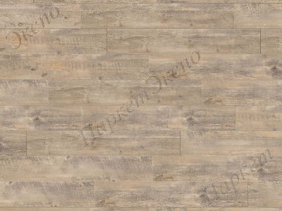 Виниловые полы Tarkett  Art Vinyl Дуб, 43 класс нагрузки, срок службы - 20 лет - 3