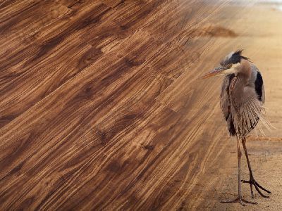 Виниловые полы Natura Орех, 43 класс нагрузки, срок службы - 20 лет - 1
