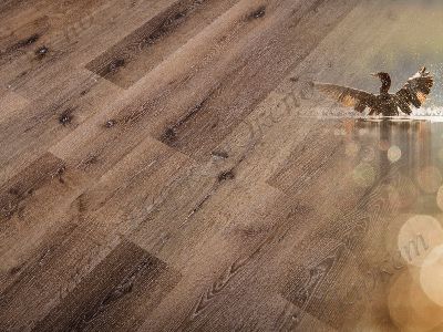 Виниловые полы Natura Дуб, 43 класс нагрузки, срок службы - 20 лет - 1