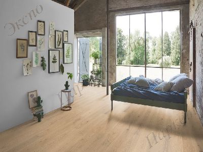 Паркетная Доска Дуб Oak Pure matt lacquer   арт. 1601485 - 3
