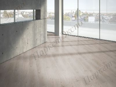 Ламинат 32 класс нагрузки, Parador Дуб Natural Grey 1594002, срок службы - 12 лет - 3