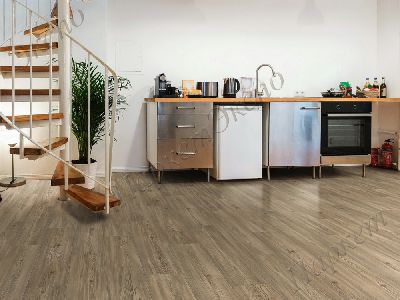 Ламинат 32 класс нагрузки, Haro Пиния Флоренция 544687 , срок службы - 20 лет - 1