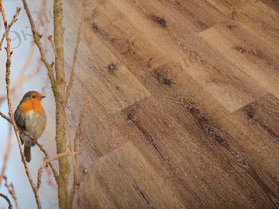 Виниловые полы Natura Дуб, 43 класс нагрузки, срок службы - 20 лет - 3