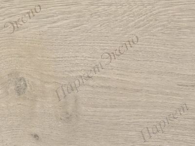 Ламинат 32 класс нагрузки, Haro Дуб Торри Серый 544696 , срок службы - 20 лет - 1