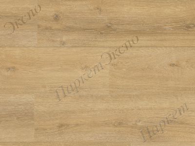 Ламинат 33 класс нагрузки, Parador Oak Nova limed 1744807, срок службы - более 50 лет - 1