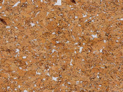 Пробковые полы Hawai White Waxed RY77002(настенная пробка), Срок службы 15 лет - 1