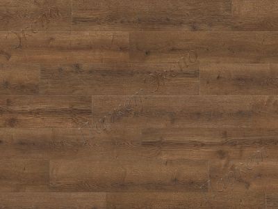 Ламинат 32 класс нагрузки, Haro Дуб Бари Амбер 544675, срок службы - 20 лет - 2